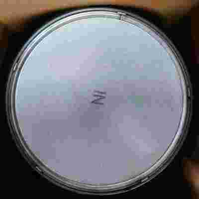 membeli Mass Production High Temperature Stability Selective Catalytic Reduction Catalyst for Commercial Vehicle Aftertreatment pembuatan online